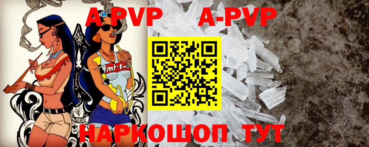 A PVP СК КРИС Нальчик