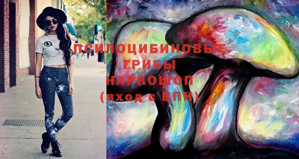 марки lsd Абаза