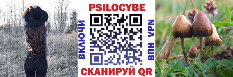 Галлюциногенные грибы Magic Shrooms Нальчик