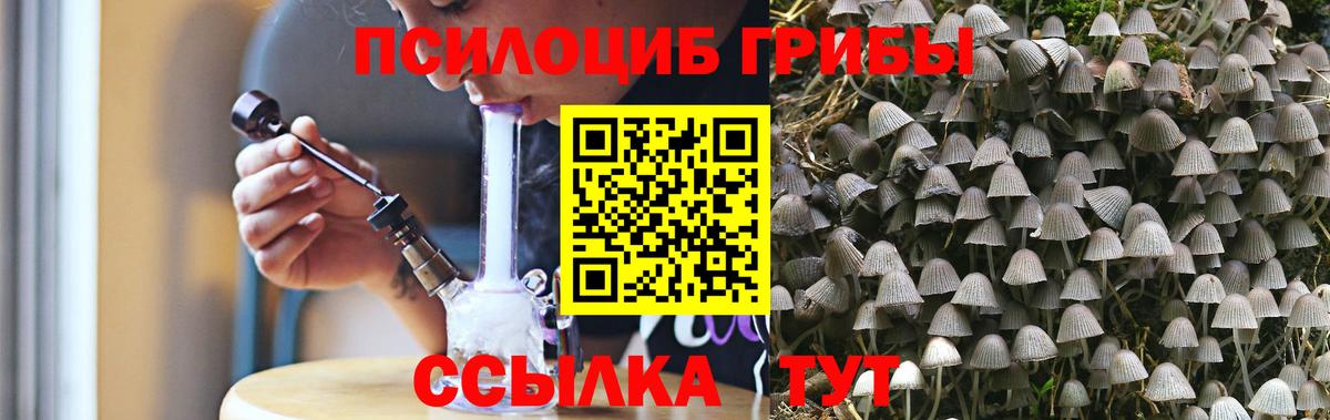 Псилоцибиновые грибы прущие грибы  Галлюциногенные грибы Psilocybe  Нальчик  Вход с VPN 
